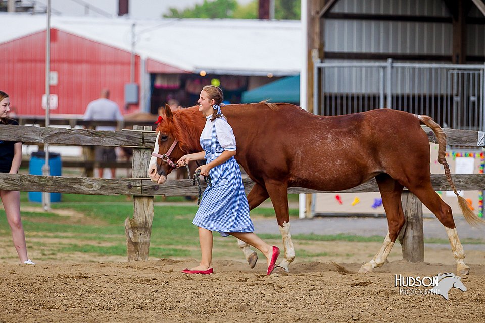 LCFair2016-7052.jpg