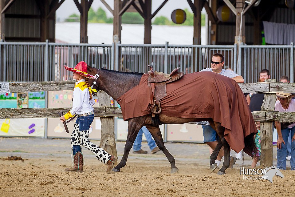 LCFair2016-7056.jpg