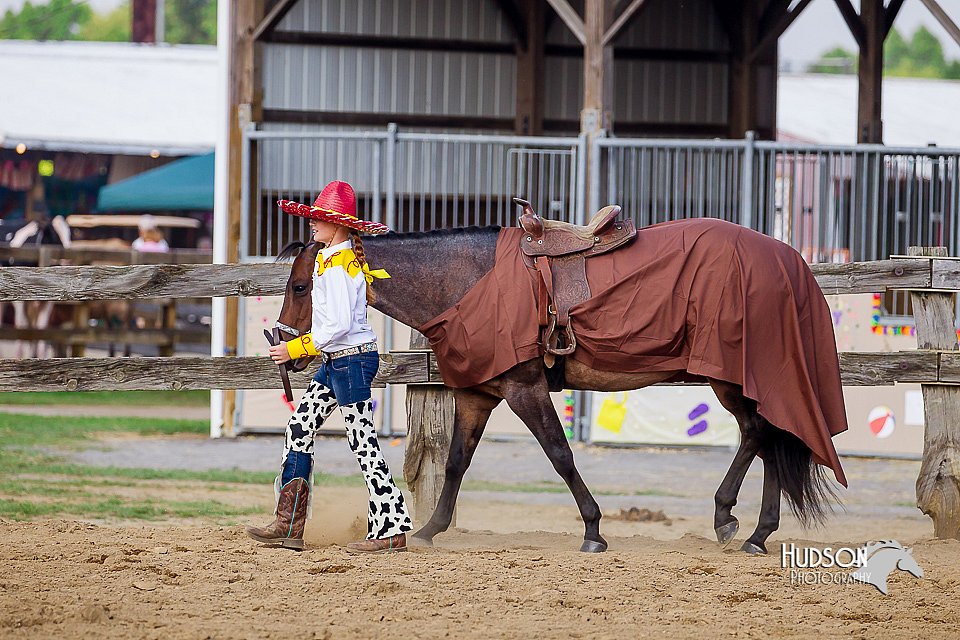 LCFair2016-7058.jpg