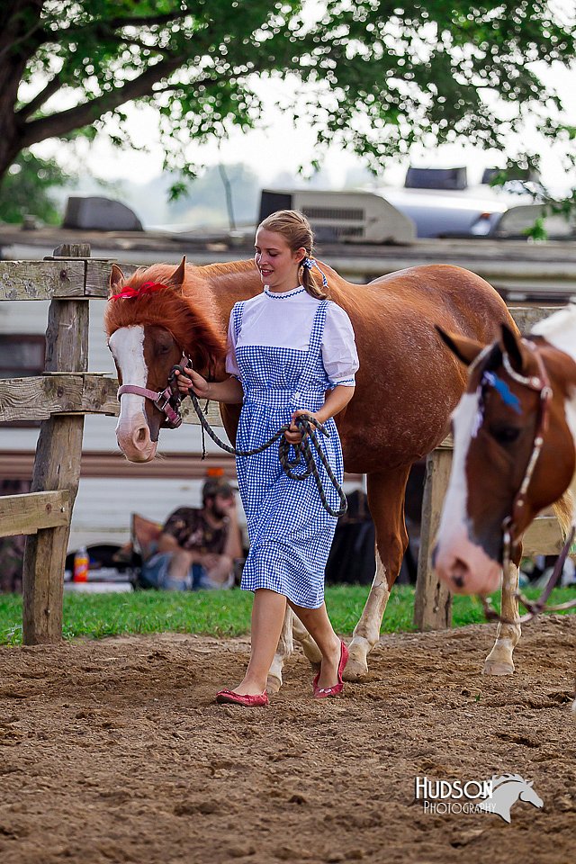 LCFair2016-7082.jpg