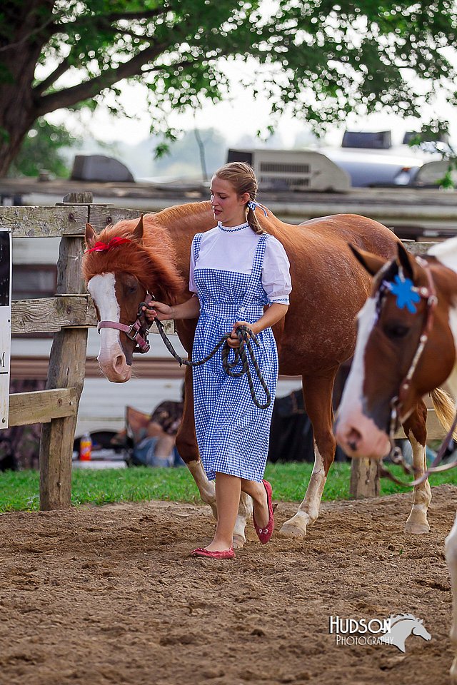 LCFair2016-7083.jpg