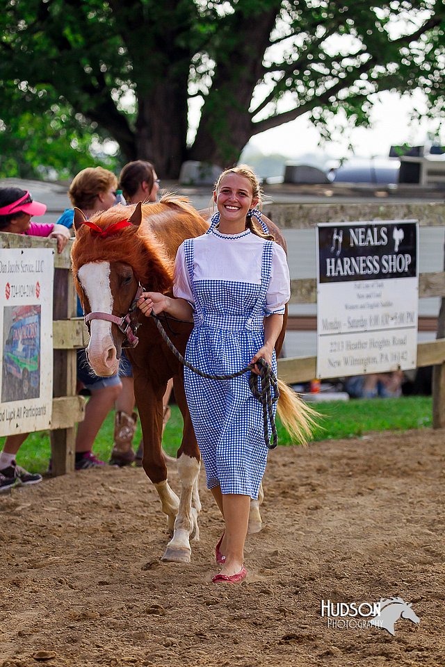 LCFair2016-7085.jpg