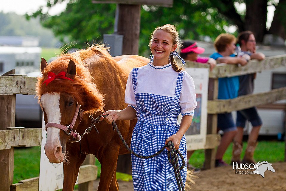 LCFair2016-7091.jpg