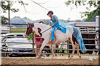 LCFair2016-6995.jpg