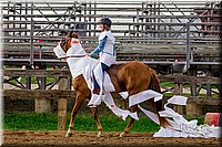 LCFair2016-7030.jpg