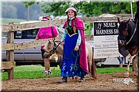 LCFair2016-7035.jpg