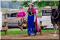 LCFair2016-7036.jpg