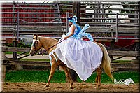 LCFair2016-7044.jpg