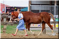 LCFair2016-7051.jpg