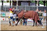 LCFair2016-7053.jpg