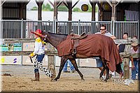 LCFair2016-7056.jpg