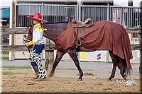 LCFair2016-7057.jpg