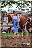 LCFair2016-7081.jpg