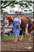 LCFair2016-7082.jpg