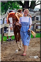 LCFair2016-7087.jpg