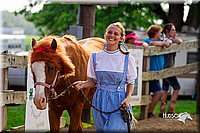 LCFair2016-7090.jpg