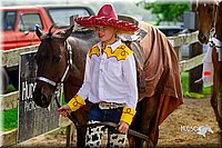 LCFair2016-7102.jpg