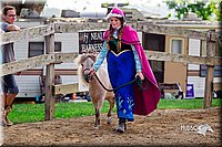 LCFair2016-7120.jpg