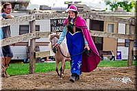 LCFair2016-7121.jpg