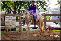 LCFair2016-7125.jpg