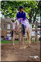 LCFair2016-7127.jpg