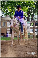 LCFair2016-7128.jpg