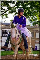 LCFair2016-7129.jpg