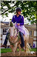 LCFair2016-7130.jpg