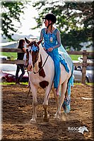 LCFair2016-7136.jpg