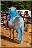 LCFair2016-7138.jpg