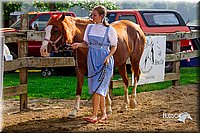 LCFair2016-7142.jpg