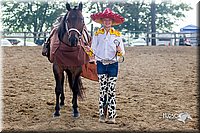 LCFair2016-7165.jpg