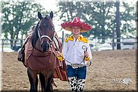 LCFair2016-7168.jpg