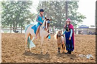 LCFair2016-7177.jpg