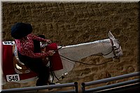 4H-State-2016-0226.jpg