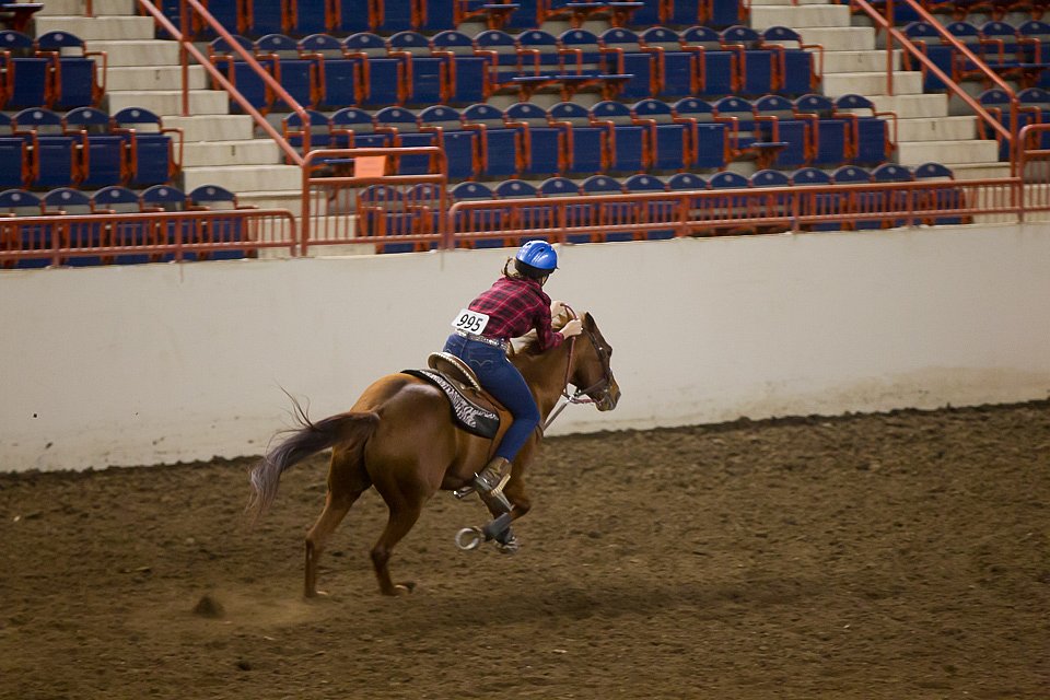 4H-State-2016-0421.jpg