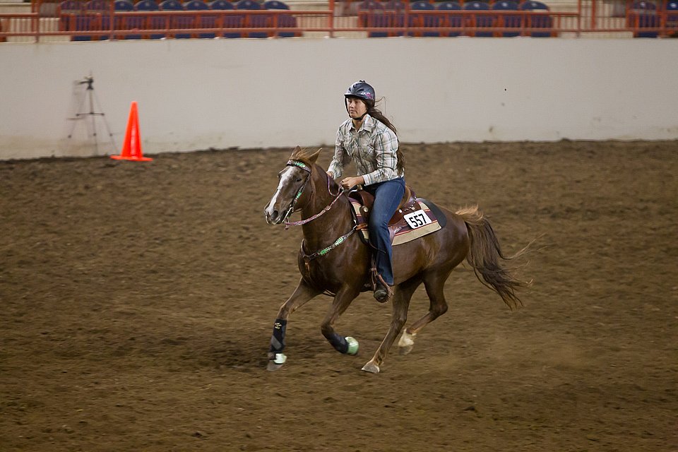 4H-State-2016-0455.jpg