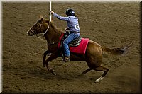 4H-State-2016-0442.jpg