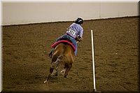 4H-State-2016-0444.jpg