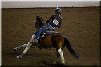 4H-State-2016-0478.jpg