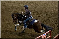 4H-State-2016-0492.jpg