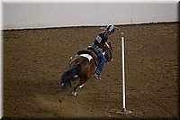 4H-State-2016-0495.jpg