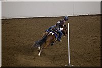 4H-State-2016-0496.jpg