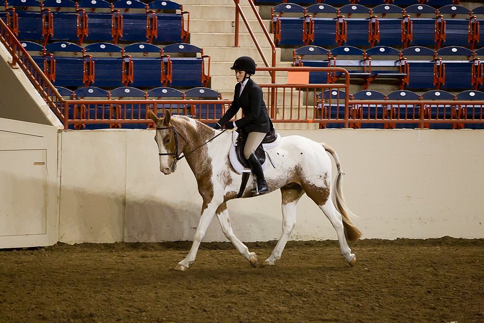 4H-State-2016-1017.jpg