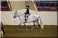 4H-State-2016-1338.jpg