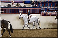 4H-State-2016-1341.jpg