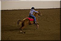 4H-State-2016-0358.jpg