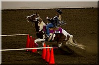 4H-State-2016-0364.jpg