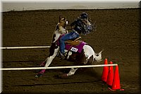 4H-State-2016-0366.jpg