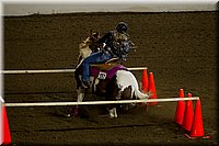 4H-State-2016-0367.jpg